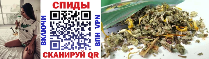 mega ONION  купить наркотик  Чайковский  БУТИРАТ 1.4BDO 