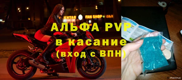 стаф Каменка