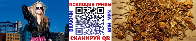 Галлюциногенные грибы мицелий ссылка на мегу рабочий сайт Чайковский