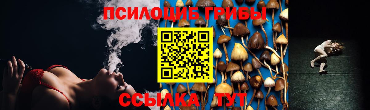 Галлюциногенные грибы ЛСД Чайковский